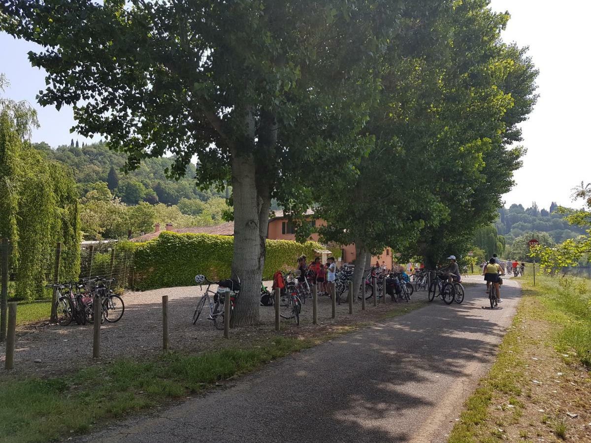 Il Glicine sul Garda casa vacanze Monzambano Esterno foto